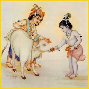 cow-and-krishna